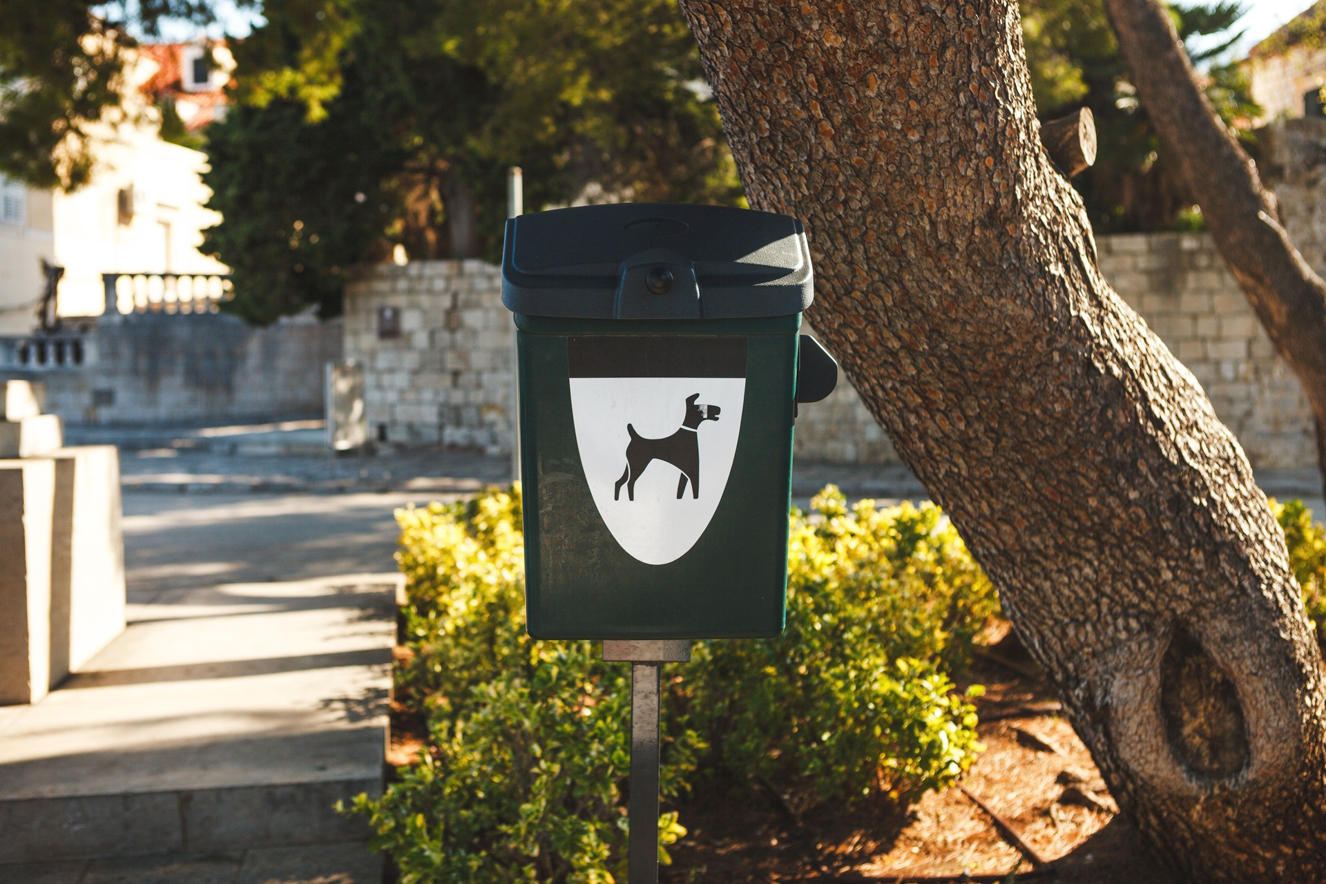 Toilet bags and container for dog excrement on the city street